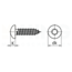 Plaatschroef RVS ISO 14585 - TORX - 2,2 x 9,5 mm - 100 stuks