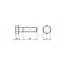 Zeskantbout M3 x 6 | RVS A2 - DIN 993 - 10 stuks