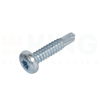 Zelfborende plaatschroef - 2,9 x 9,5 mm - TORX - Bolkop - staal verzinkt - 25 stuks