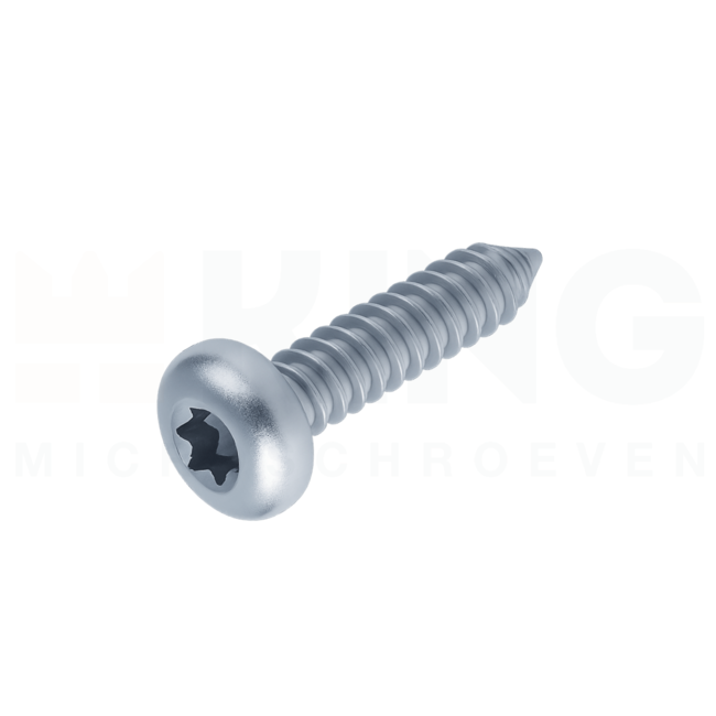 Plaatschroef 2,2 x 6,5 mm - DIN 7981 - TORX - Staal verzinkt - 100 stuks