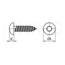 Plaatschroef 2,2 x 6,5 mm - DIN 7981 - TORX - Staal verzinkt - 100 stuks
