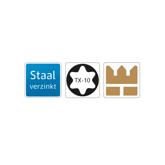 Plaatschroef 2,9 x 13 mm - DIN 7981 - TORX - Staal verzinkt - 50 stuks