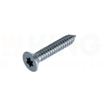 KING Microschroeven Plaatschroef 2,9 x 16 mm - DIN 7982 - TORX - Staal verzinkt - 50 stuks