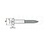 Houtschroef 3 x 12 mm met bolkop | DIN 96 - Messing - 25 schroeven per verpakking