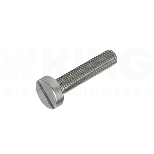 Cilinderkopschroef - RVS - M1 x 4 - DIN 84/ ISO 1207 - 10 stuks