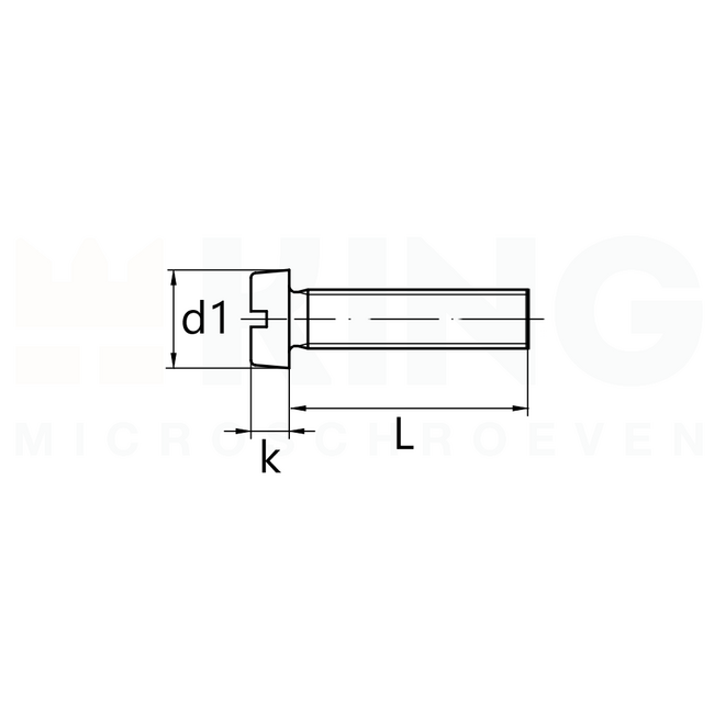 Cilinderkopschroef DIN 84 - RVS - M 1 x 8 - 10 stuks