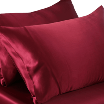 Funda de almohada de seda 19momme rojo vino