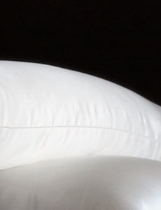  Silk Pillow with silk cover