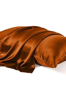  Funda de almohada de seda 22mm Llama dorada