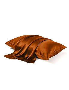  Funda de almohada de seda 22mm Llama dorada