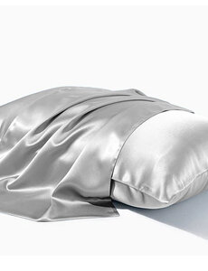  Funda de almohada de seda 22mm  plata