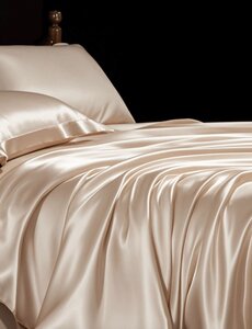  Silk duvet cover 22mm Champagne