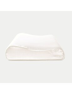  Funda de almohada de seda ergo 19mm