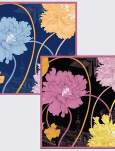  Omgekeerde Twee-Tinten Bedrukte Zijden Sjaal