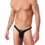 Gregg Homme Voyeur Thong