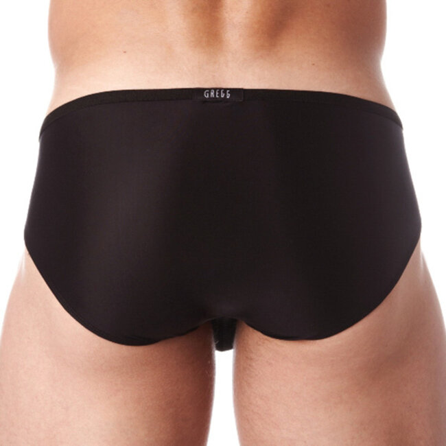 Gregg Homme Voyeur Brief