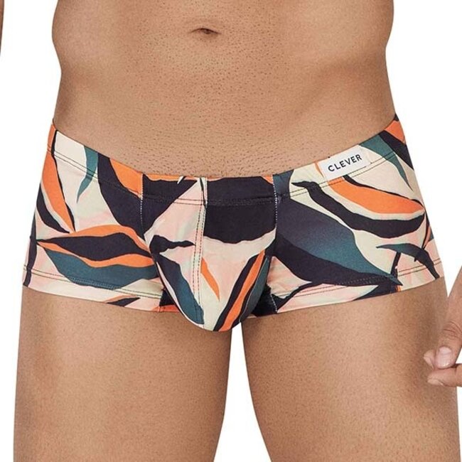 Clever Collness boxershort