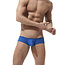 Gregg Homme Torridz boxer brief