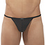 Gregg Homme Gregg Homme Torridz string