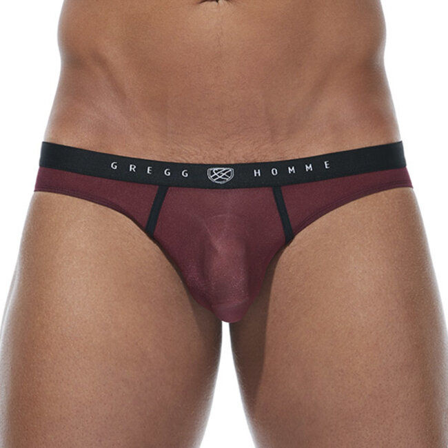 Gregg Homme Torridz brief