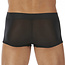 Gregg Homme Torridz trunk