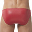 Gregg Homme Boytoy brief