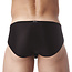 Gregg Homme Voyeur Brief