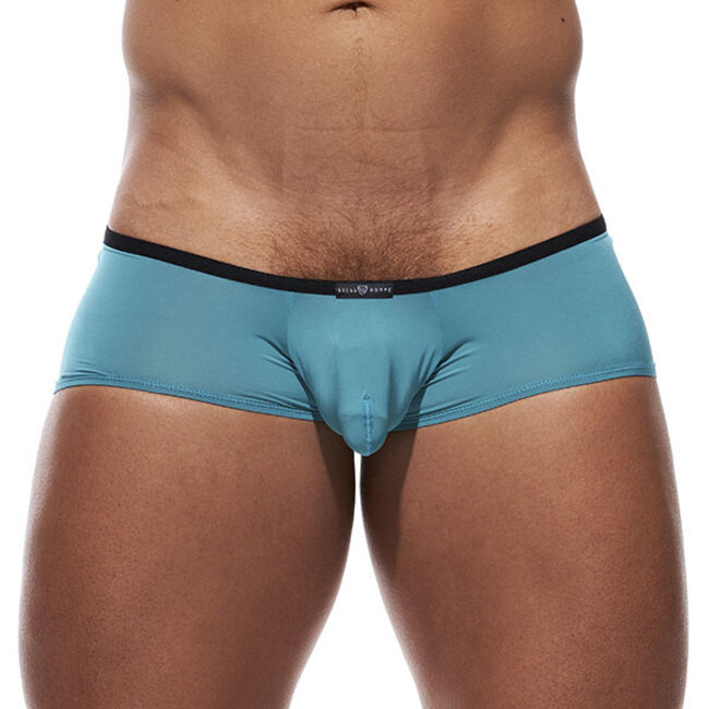 Gregg Homme voyeur square cut brief