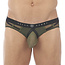 Gregg Homme Gregg Homme Erupt brief