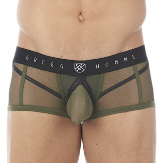 Gregg Homme Gregg Homme Erupt boxer brief