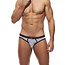 Gregg Homme Room-max brief