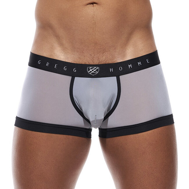 Gregg Homme Room-max boxer brief
