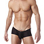 Gregg Homme voyeur square cut brief