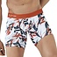 Clever Tesino long boxershort