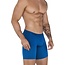 Clever Arctic long boxershort