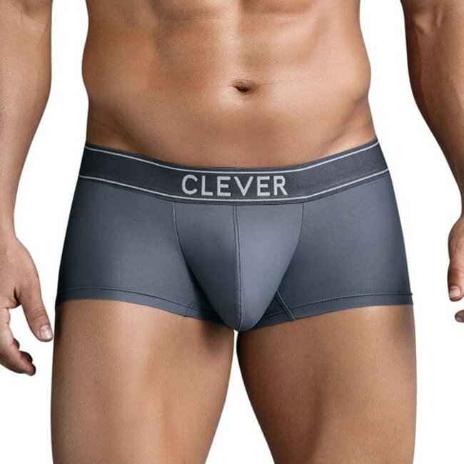 Clever   craftiness boxershort