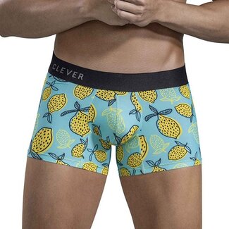 Clever Clever Lemons boxershort