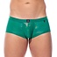Gregg Homme Boytoy voltz boxer
