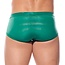 Gregg Homme Boytoy voltz boxer