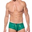 Gregg Homme Boytoy voltz boxer