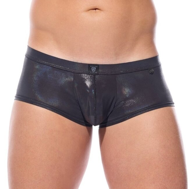 Gregg Homme Boytoy voltz boxer