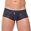 Gregg Homme Gregg Homme Boytoy voltz boxer