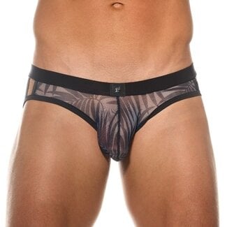Gregg Homme Gregg Homme Outline brief