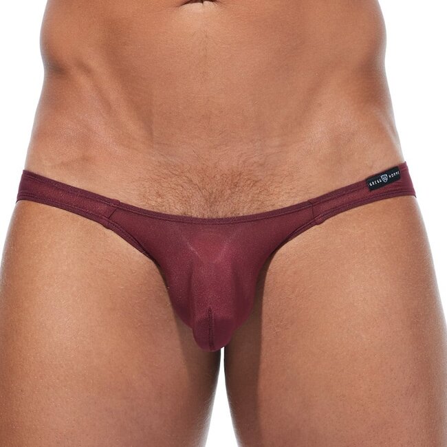 Gregg Homme Torridz  brief