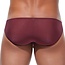 Gregg Homme Torridz  brief