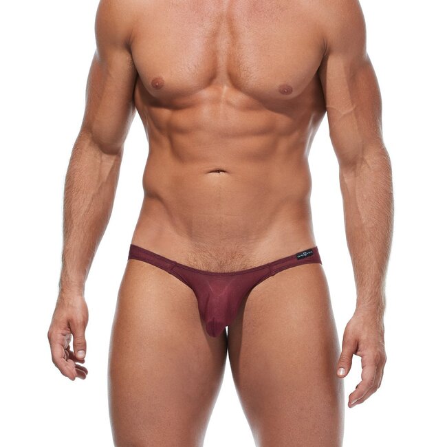Gregg Homme Torridz  brief