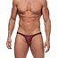 Gregg Homme Torridz  brief