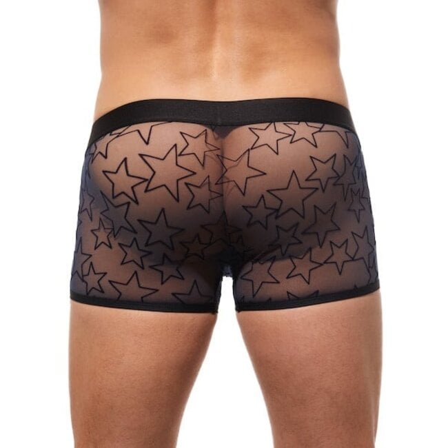 Gregg Homme Starr boxer brief