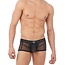 Gregg Homme Erupt boxer brief