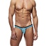 Gregg Homme Voyeur brief
